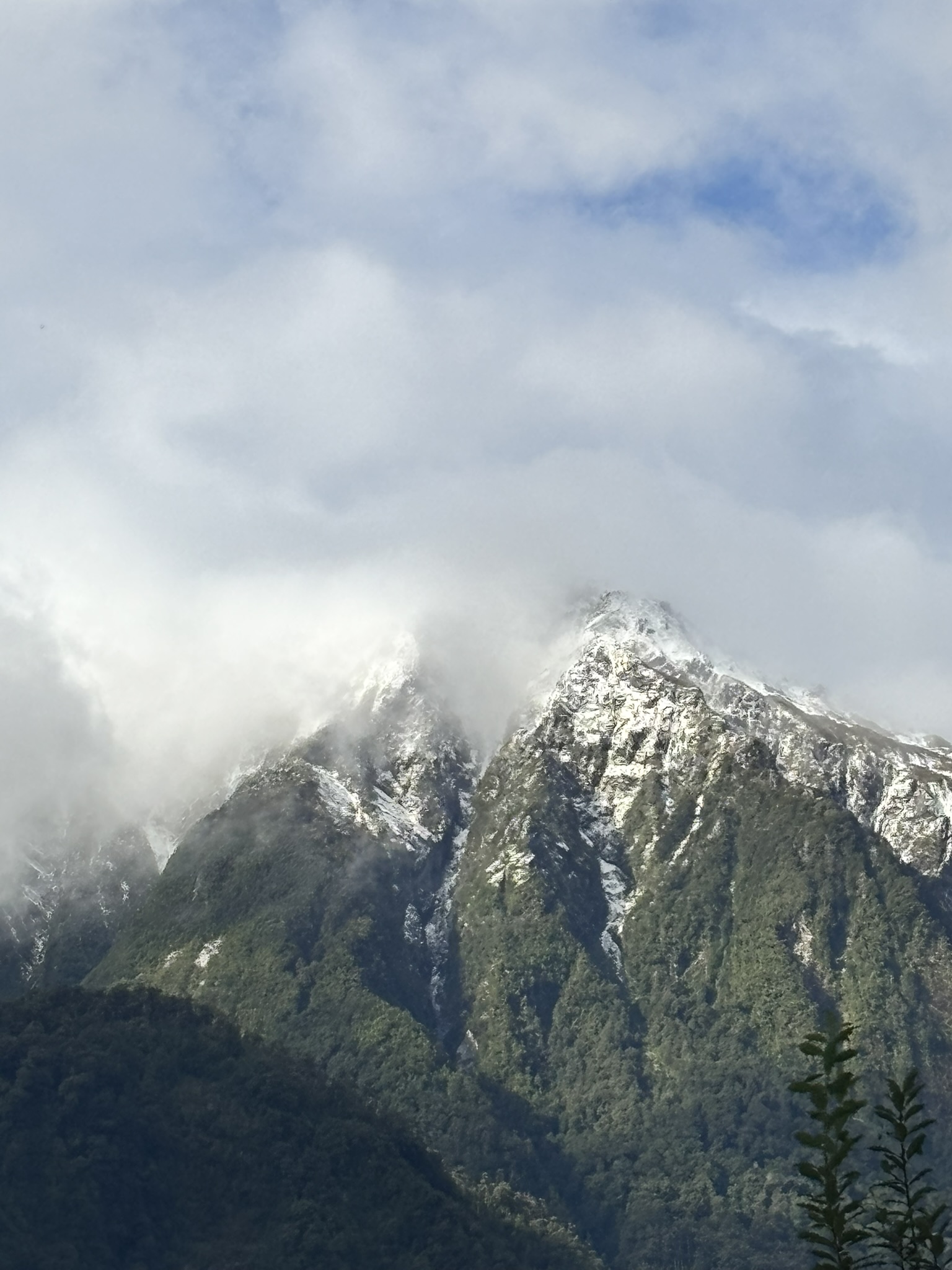 Qué hacer en Puerto Cisnes: actividades, naturaleza y panoramas imperdibles