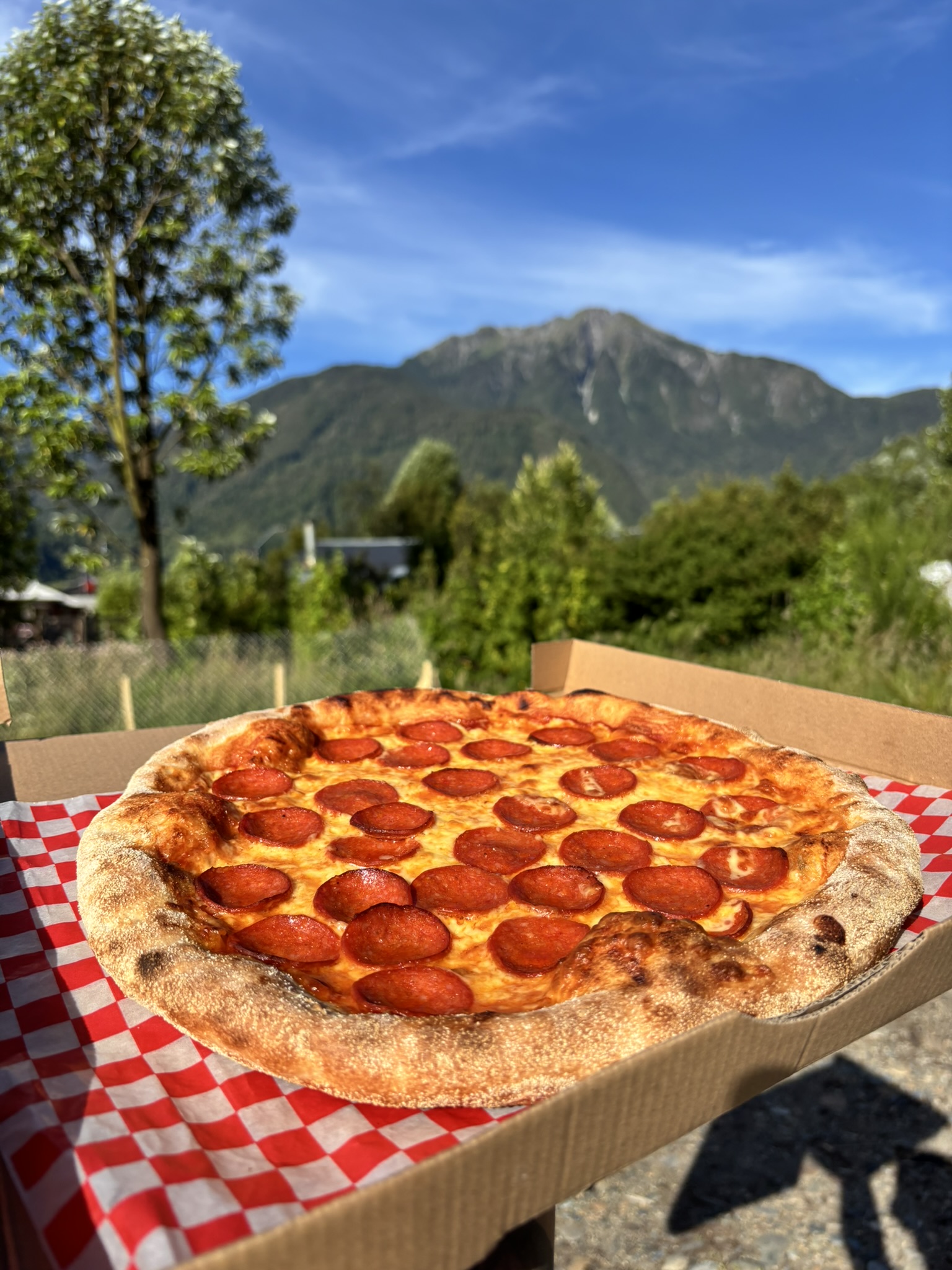 Dónde comer en Puerto Cisnes: restaurantes y opciones recomendadas
