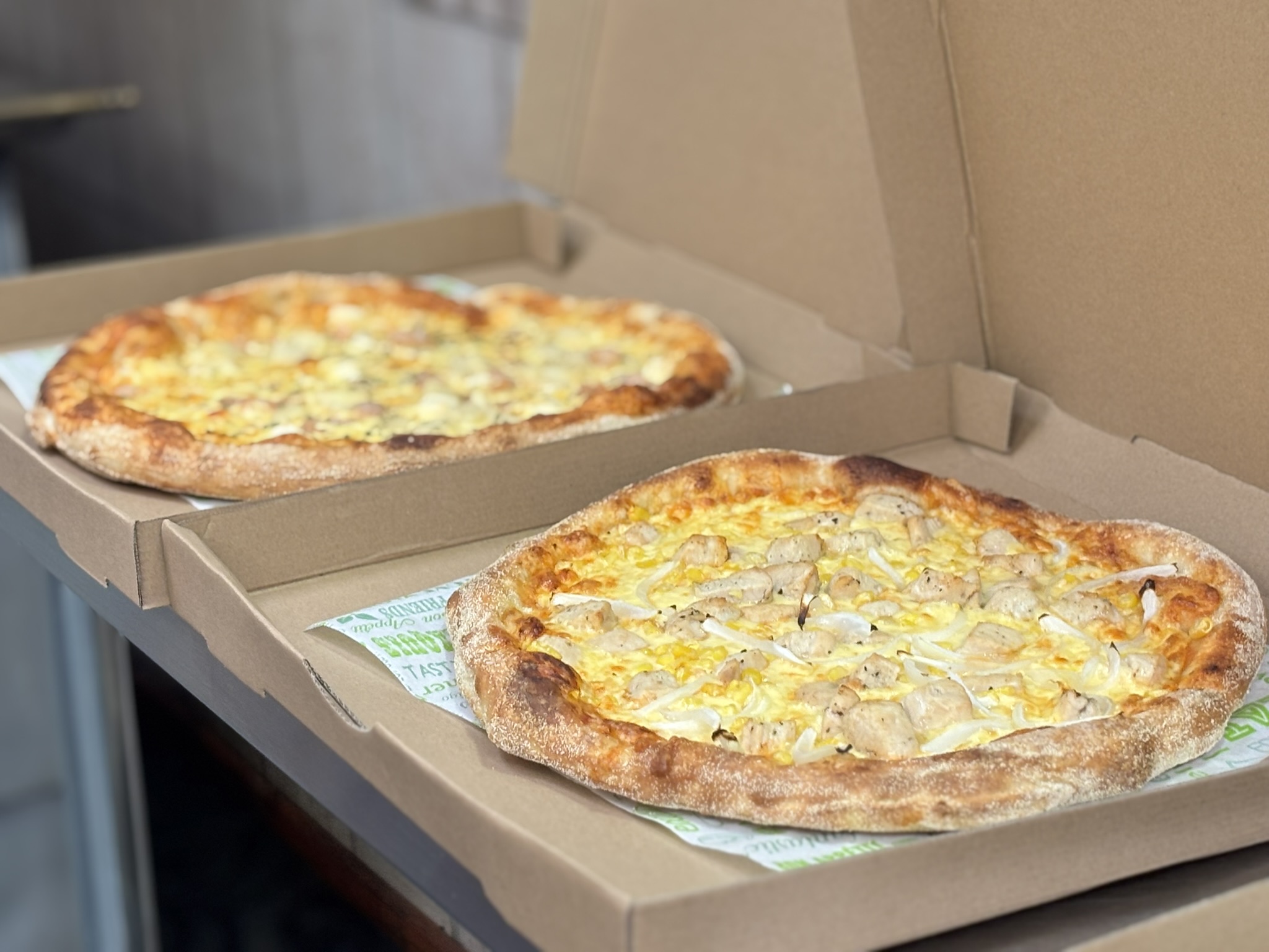 Montañas nevadas de la Patagonia chilena vistas desde Puerto Cisnes