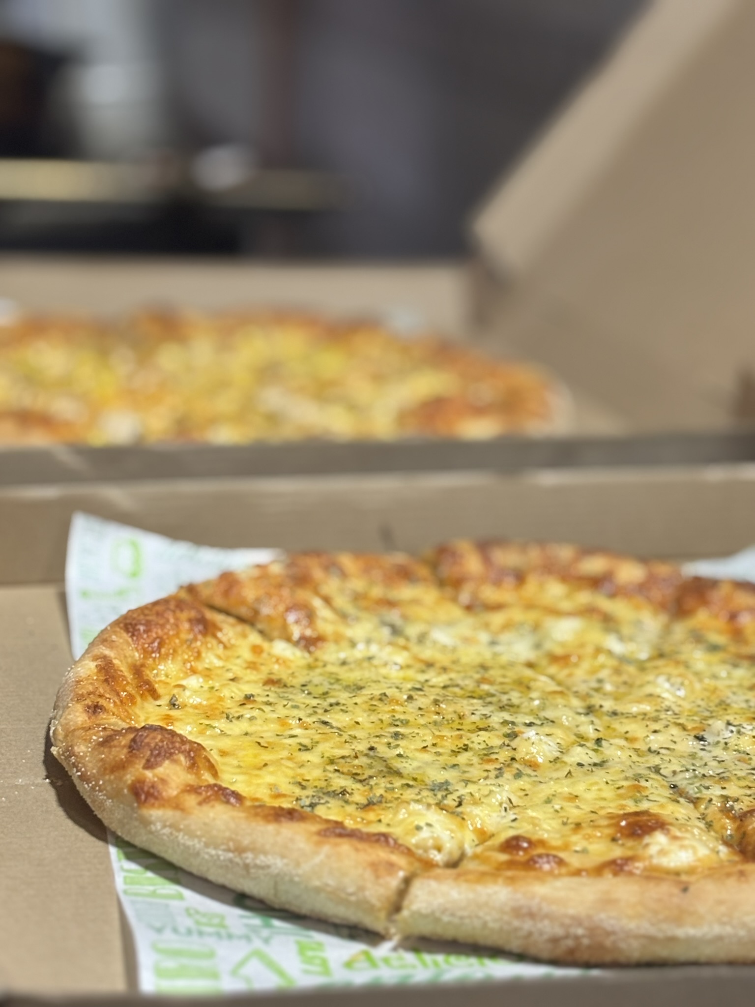 Naturaleza patagónica, Carretera Austral